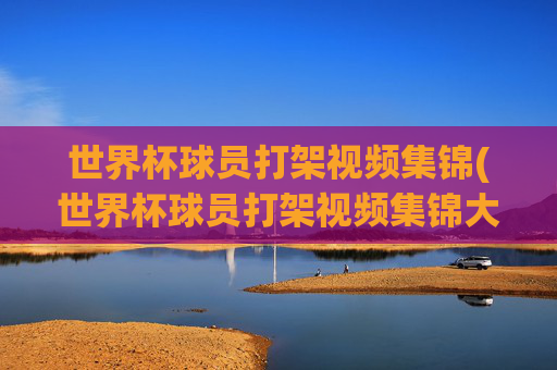 世界杯球员打架视频集锦(世界杯球员打架视频集锦大全)