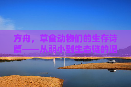 方舟，草食动物们的生存诗篇——从弱小到生态链的温柔力量