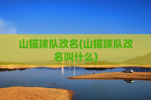 山猫球队改名(山猫球队改名叫什么)