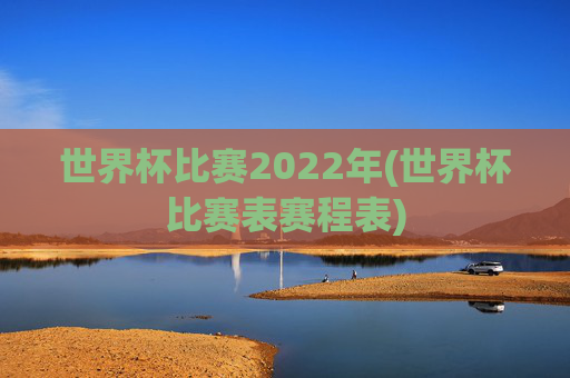 世界杯比赛2022年(世界杯比赛表赛程表)