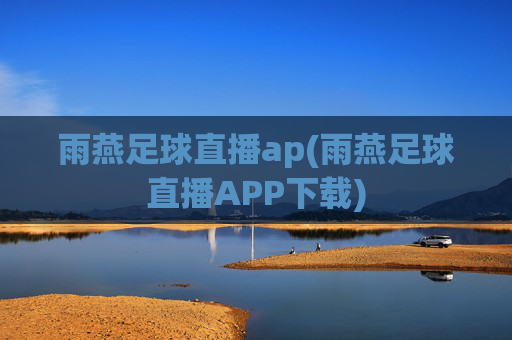 雨燕足球直播ap(雨燕足球直播APP下载)