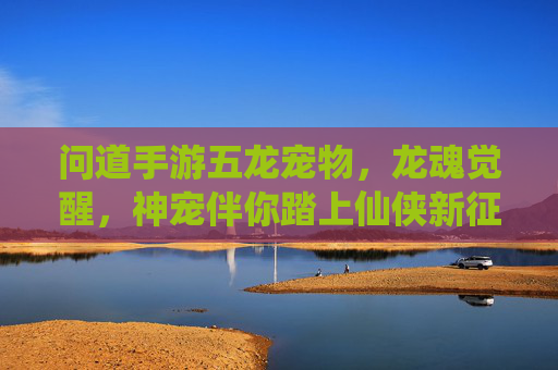 问道手游五龙宠物，龙魂觉醒，神宠伴你踏上仙侠新征途