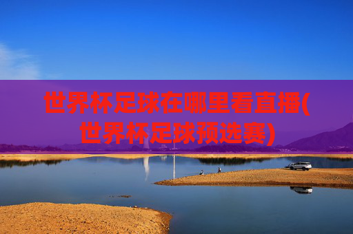世界杯足球在哪里看直播(世界杯足球预选赛)