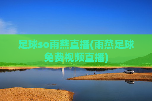足球so雨燕直播(雨燕足球免费视频直播)