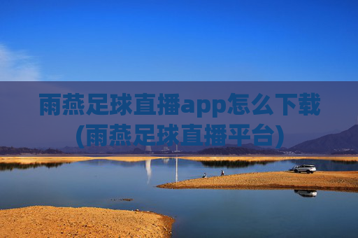 雨燕足球直播app怎么下载(雨燕足球直播平台)