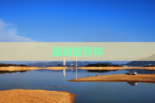 踢进世界杯