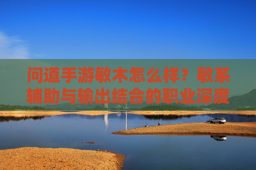 问道手游敏木怎么样？敏系辅助与输出结合的职业深度解析，问道手游敏木职业解析，敏系辅助与输出结合的深度剖析