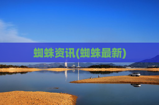 蜘蛛资讯(蜘蛛最新)