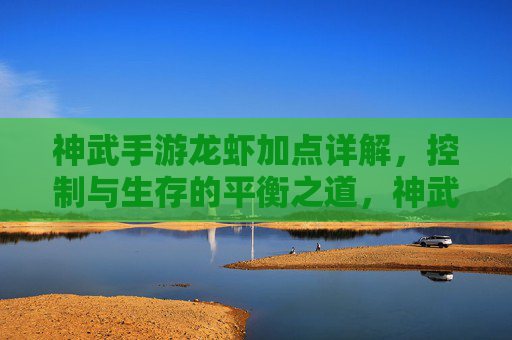 神武手游龙虾加点详解，控制与生存的平衡之道，神武手游龙虾加点详解，控制与生存的平衡之道