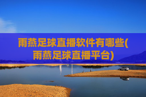 雨燕足球直播软件有哪些(雨燕足球直播平台)