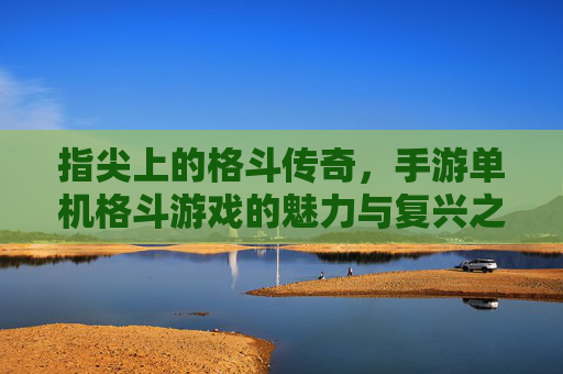 指尖上的格斗传奇，手游单机格斗游戏的魅力与复兴之路，指尖上的格斗传奇，手游单机格斗游戏的魅力与复兴之路
