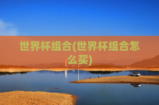 世界杯组合(世界杯组合怎么买)