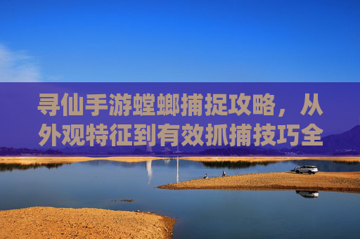 寻仙手游螳螂捕捉攻略，从外观特征到有效抓捕技巧全解析，寻仙手游螳螂捕捉攻略，从外观特征到有效抓捕技巧全解析