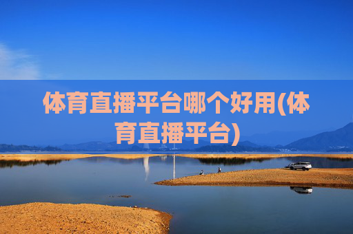 体育直播平台哪个好用(体育直播平台)