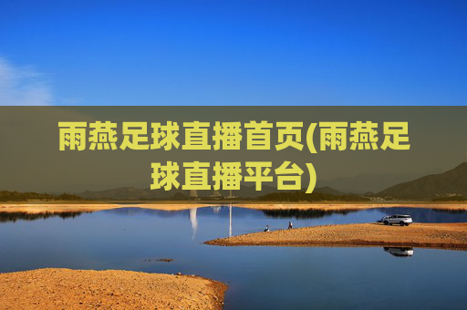 雨燕足球直播首页(雨燕足球直播平台)