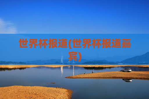 世界杯报道(世界杯报道嘉宾)