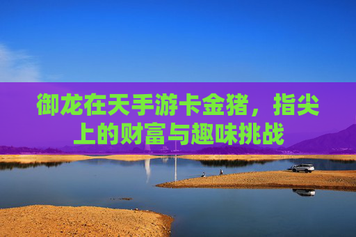 御龙在天手游卡金猪,指尖上的财富与趣味挑战