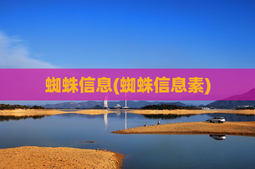 蜘蛛信息(蜘蛛信息素)