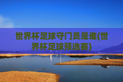 世界杯足球守门员是谁(世界杯足球预选赛)