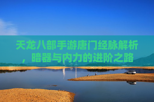 天龙八部手游唐门经脉解析,暗器与内力的进阶之路