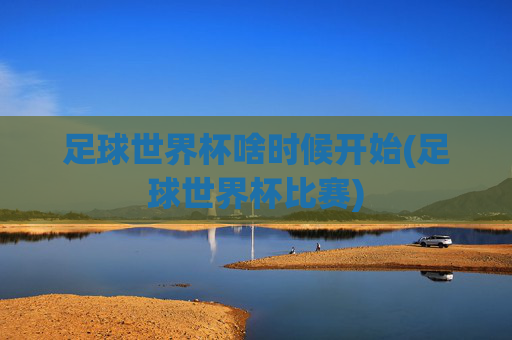 足球世界杯啥时候开始(足球世界杯比赛)