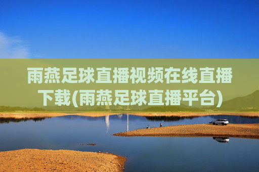 雨燕足球直播视频在线直播下载(雨燕足球直播平台)