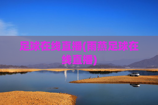 足球在线直播(雨燕足球在线直播)