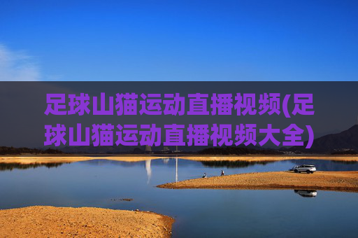 足球山猫运动直播视频(足球山猫运动直播视频大全)