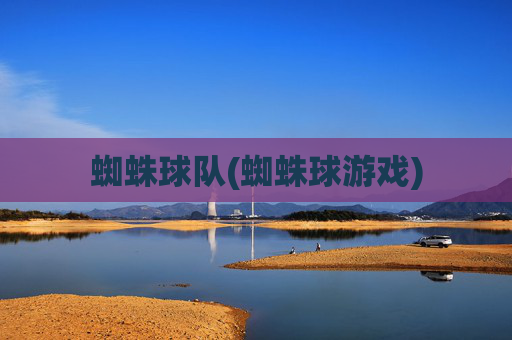 蜘蛛球队(蜘蛛球游戏)