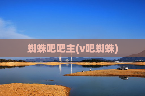 蜘蛛吧吧主(v吧蜘蛛)