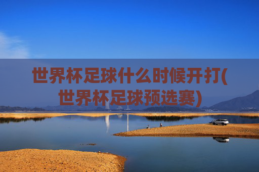 世界杯足球什么时候开打(世界杯足球预选赛)