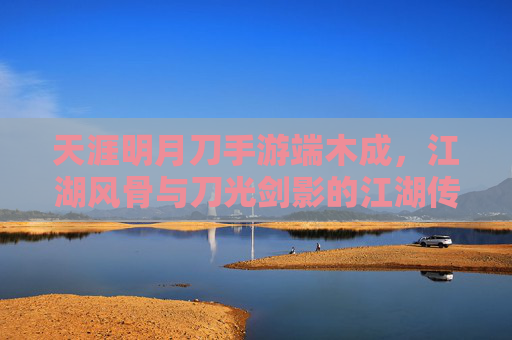天涯明月刀手游端木成,江湖风骨与刀光剑影的江湖传奇