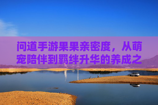 问道手游果果亲密度,从萌宠陪伴到羁绊升华的养成之路