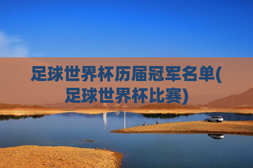 足球世界杯历届冠军名单(足球世界杯比赛)