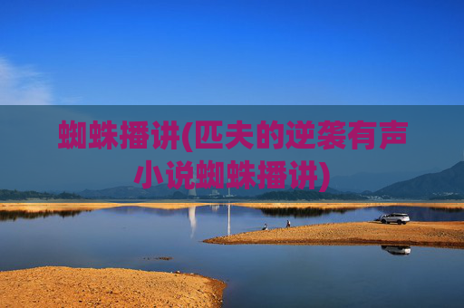 蜘蛛播讲(匹夫的逆袭有声小说蜘蛛播讲)