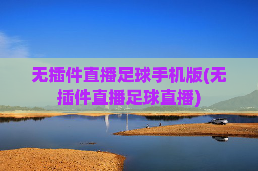 无插件直播足球手机版(无插件直播足球直播)