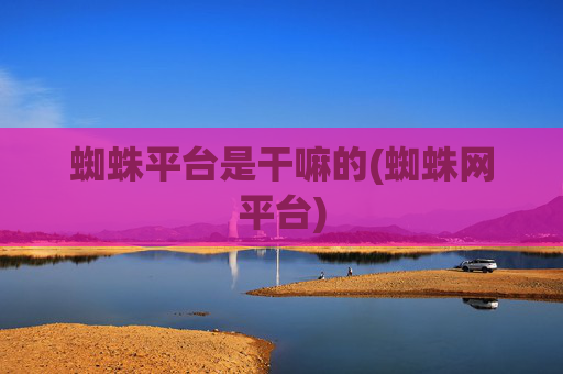 蜘蛛平台是干嘛的(蜘蛛网平台)
