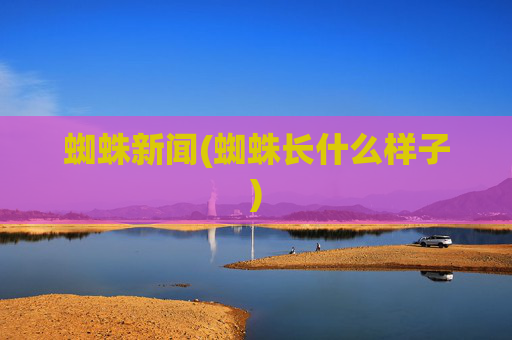 蜘蛛新闻(蜘蛛长什么样子)