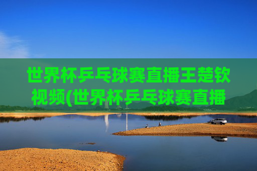 世界杯乒乓球赛直播王楚钦视频(世界杯乒乓球赛直播王楚钦视频回放)