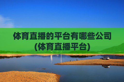 体育直播的平台有哪些公司(体育直播平台)