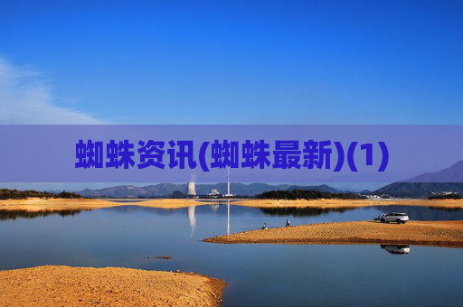 蜘蛛资讯(蜘蛛最新)(1)