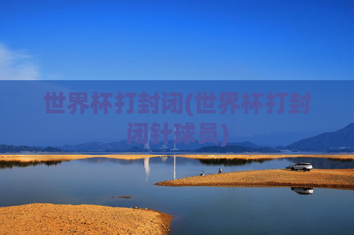 世界杯打封闭(世界杯打封闭针球员)
