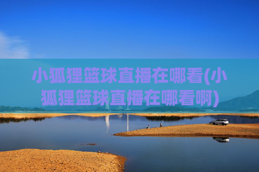 小狐狸篮球直播在哪看(小狐狸篮球直播在哪看啊)