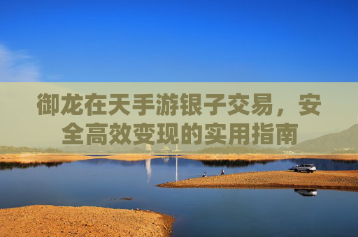御龙在天手游银子交易，安全高效变现的实用指南