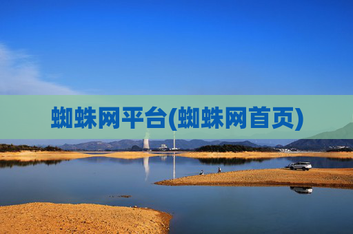 蜘蛛网平台(蜘蛛网首页)