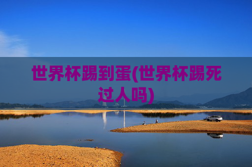 世界杯踢到蛋(世界杯踢死过人吗)
