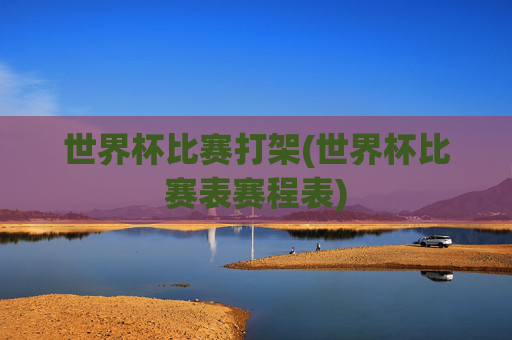 世界杯比赛打架(世界杯比赛表赛程表)