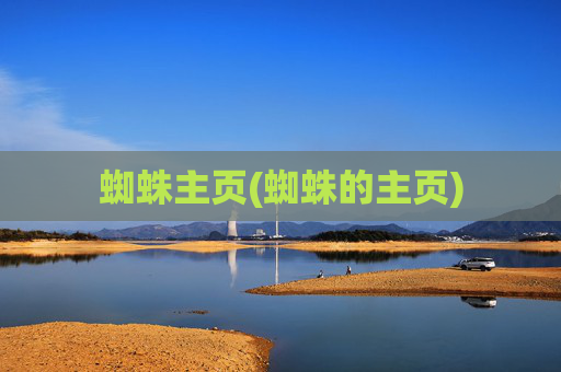 蜘蛛主页(蜘蛛的主页)