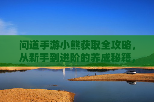问道手游小熊获取全攻略,从新手到进阶的养成秘籍,问道手游小熊获取全攻略,从新手到进阶的养成秘籍