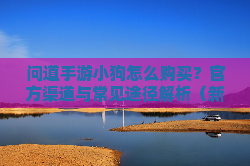 问道手游小狗怎么购买？官方渠道与常见途径解析（新手必看）问道手游小狗怎么购买？官方渠道与常见途径解析（新手必看）